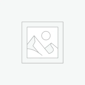 AI Course